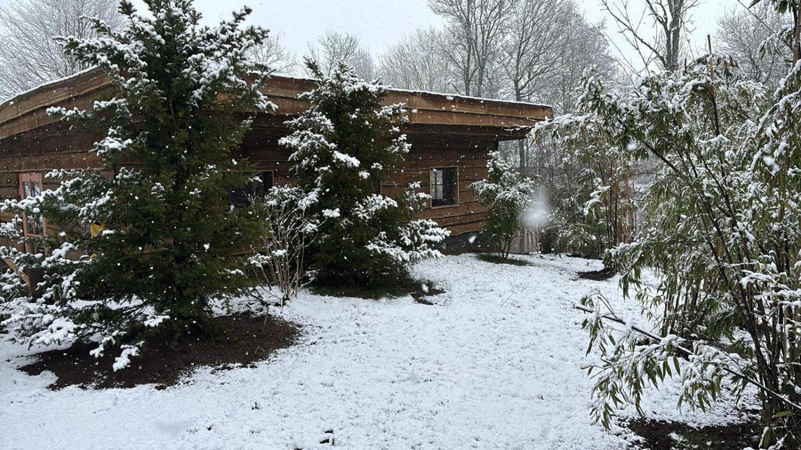 Ferienwohnung Landgoed Wittelte Dwingeloo Exterior foto